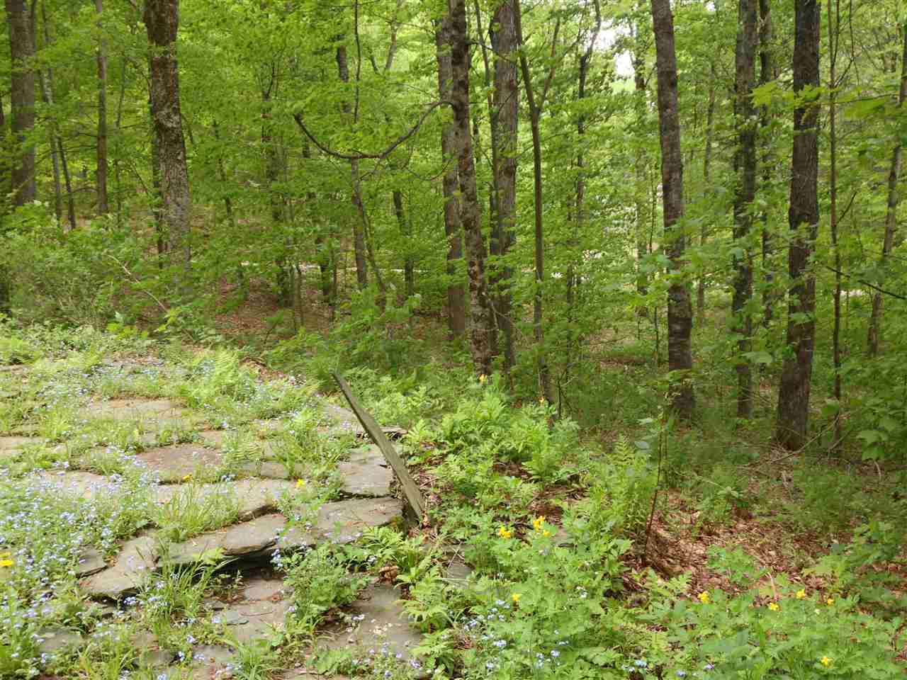 115 Pinebrook Road Waitsfield, VT 05673 - Photo 27 of 31
