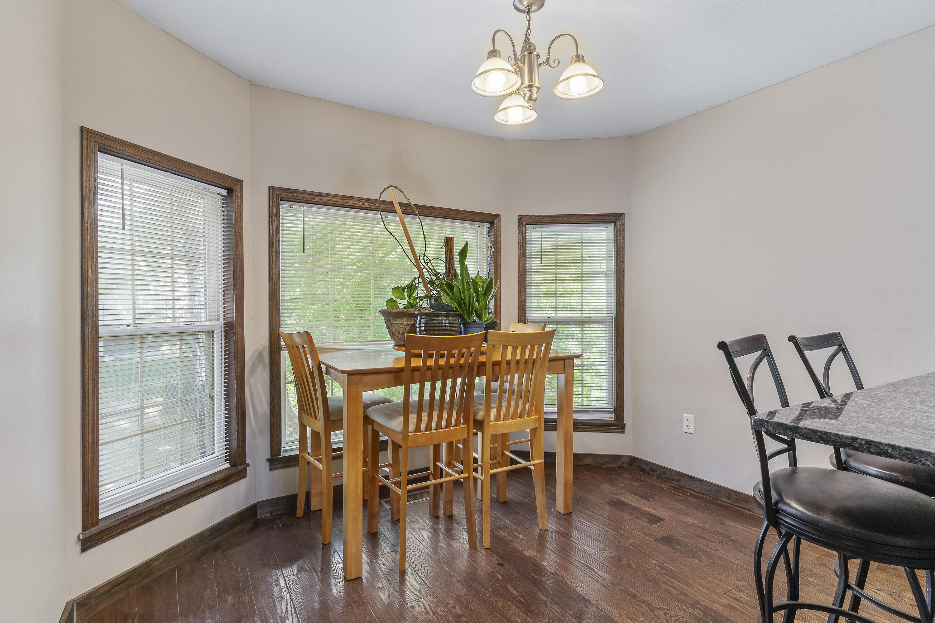 45 Stone Ridge Court Strafford, MO 65757 - Photo 18 of 59 45 Stone Ridge-18