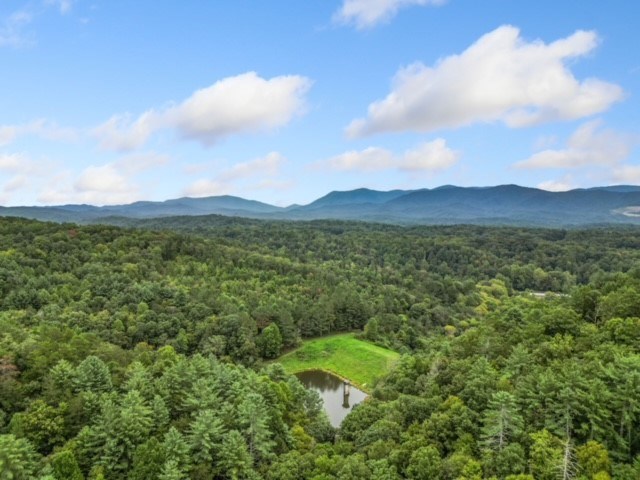 120 Trails End Ridge Ellijay, GA 30540 - Photo 58 of 58 Gallery Image 58