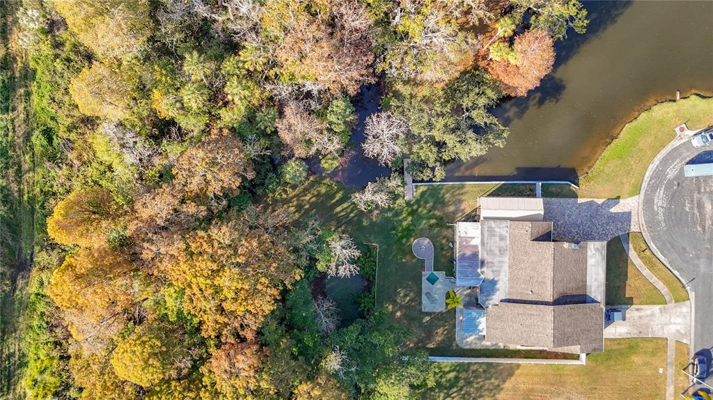 5904 Springrun Court Holiday, FL 34690 - Photo 76 of 79