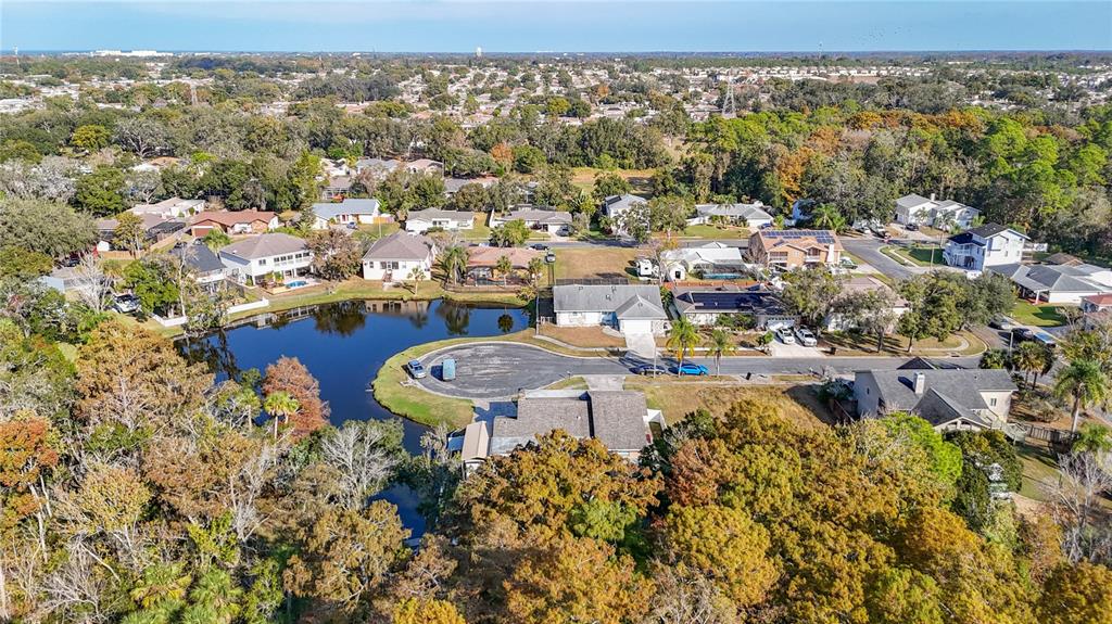 5904 Springrun Court Holiday, FL 34690 - Photo 77 of 79