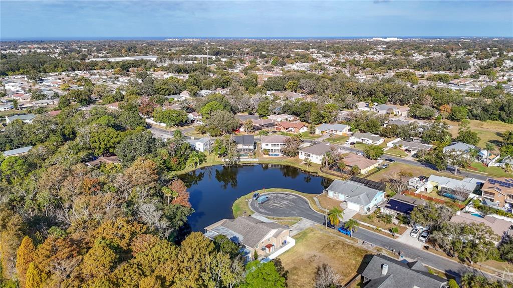 5904 Springrun Court Holiday, FL 34690 - Photo 78 of 79