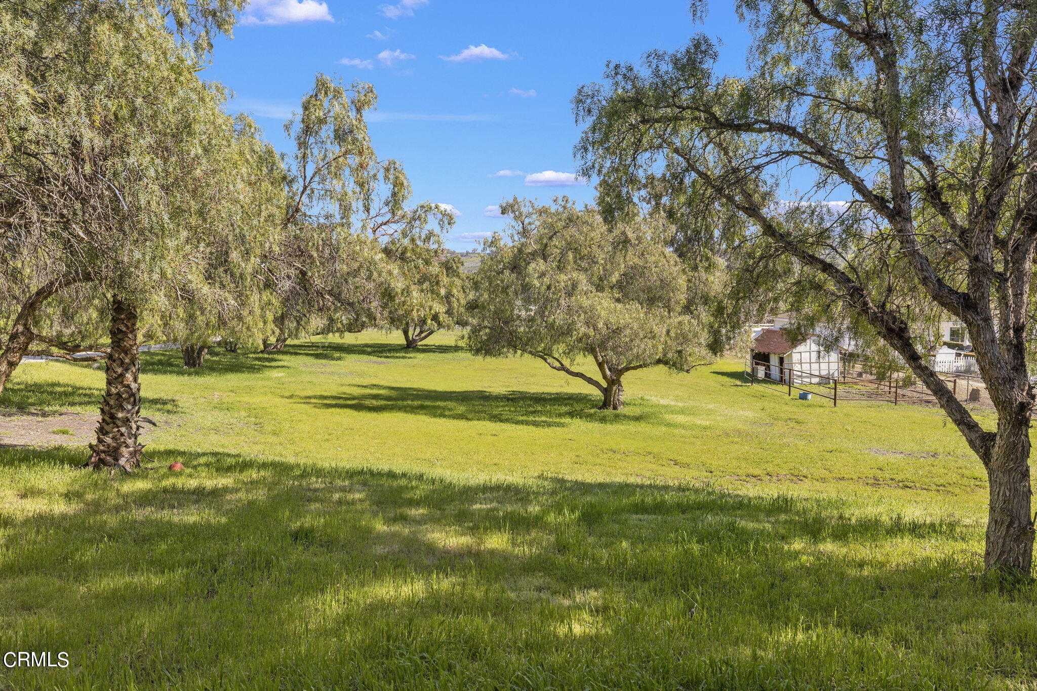 5577 La Cumbre Road Somis, CA 93066 - Photo 61 of 64 Surrounded by nature.