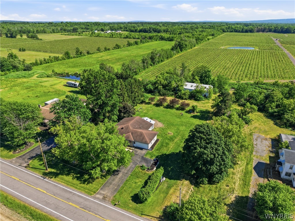1635 Brant North Collins Road Brant, NY 14111 - Photo 31 of 36