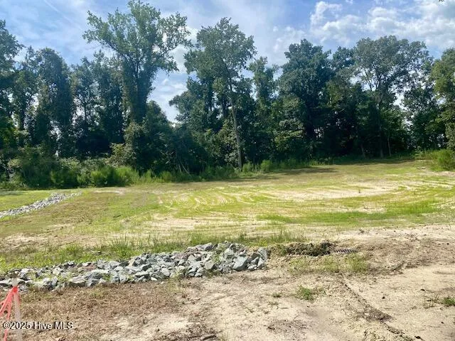 $100,000 | 215 Willowbrook Drive, Pikeville, NC 27863