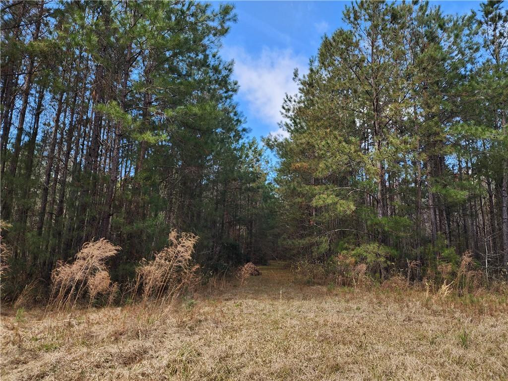1012 Star Ranch Road Brunswick, GA 31523 - Photo 20 of 43