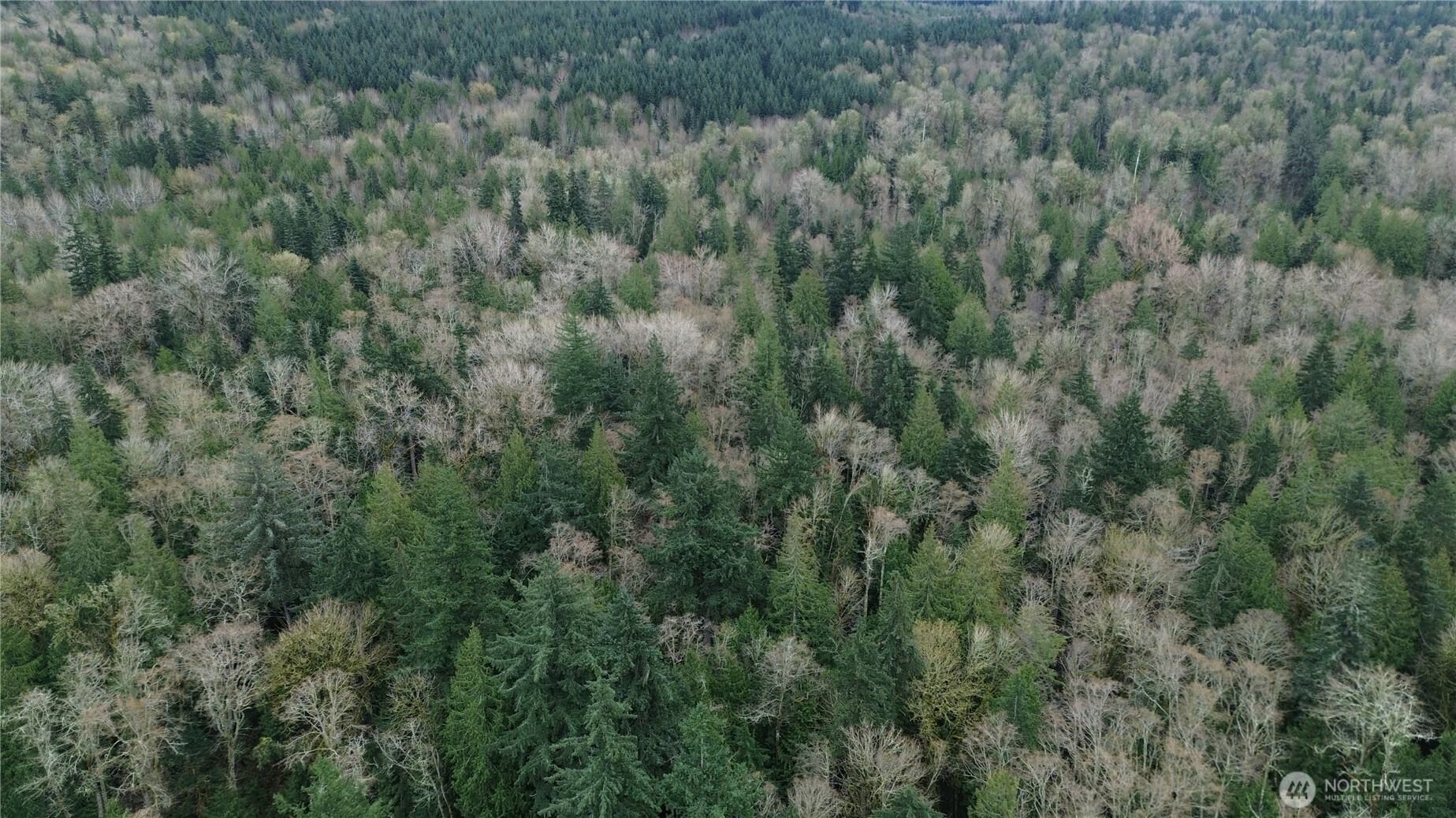 a view of a lots of trees and bushes