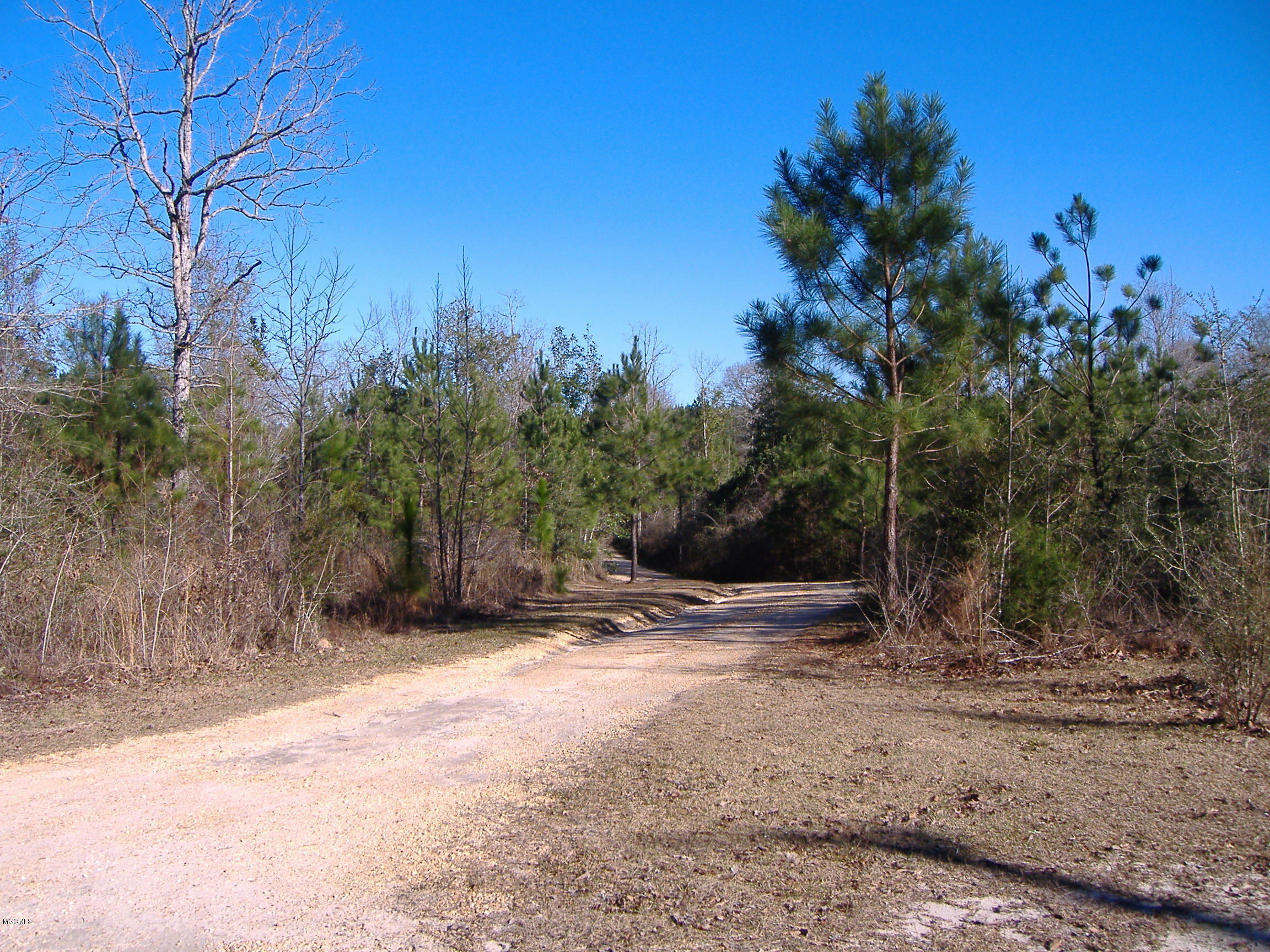 1312 Carnes Road Lumberton, MS 39455 - Photo 3 of 50 DSCF5059