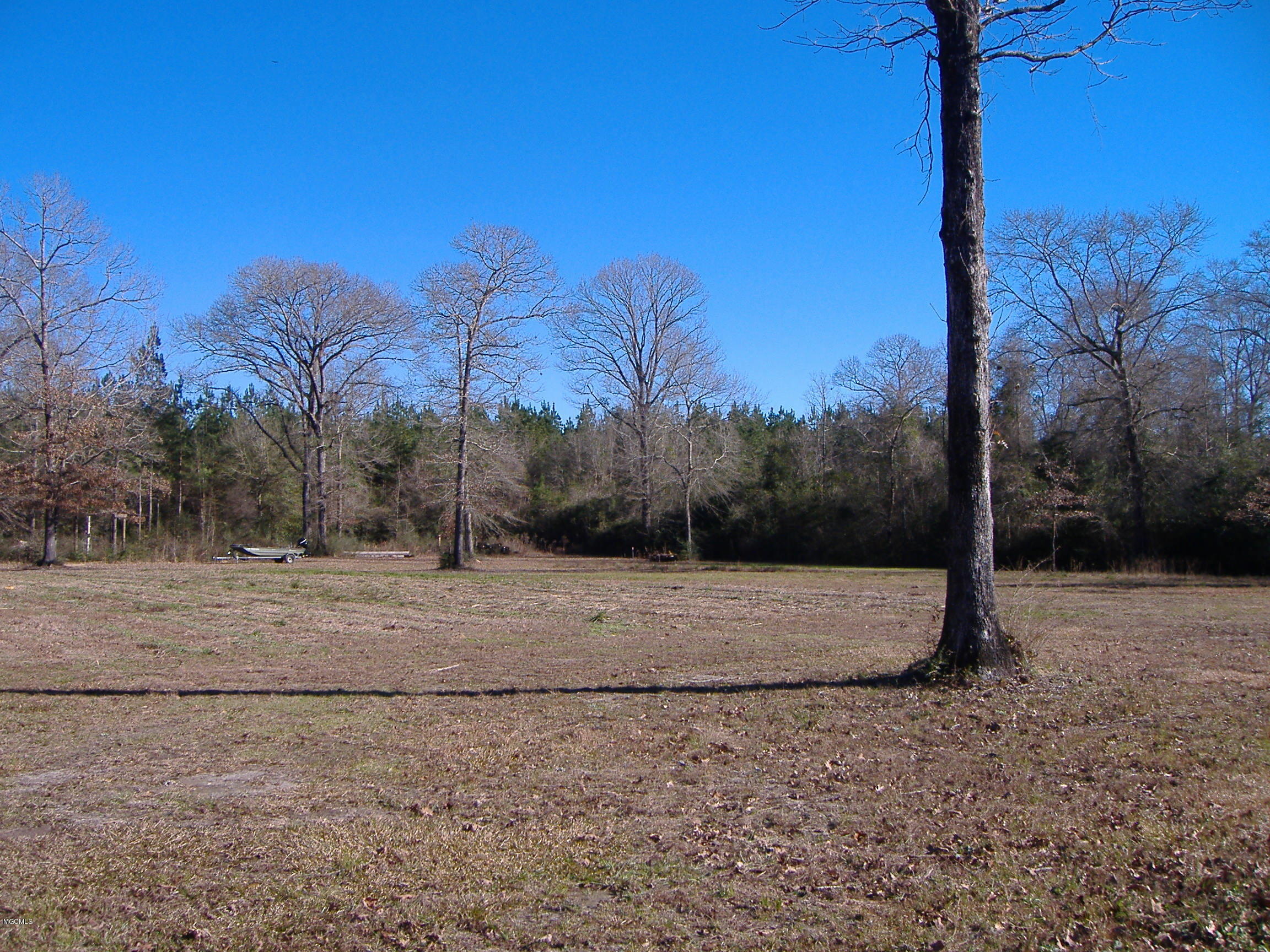 1312 Carnes Road Lumberton, MS 39455 - Photo 5 of 50 DSCF5062