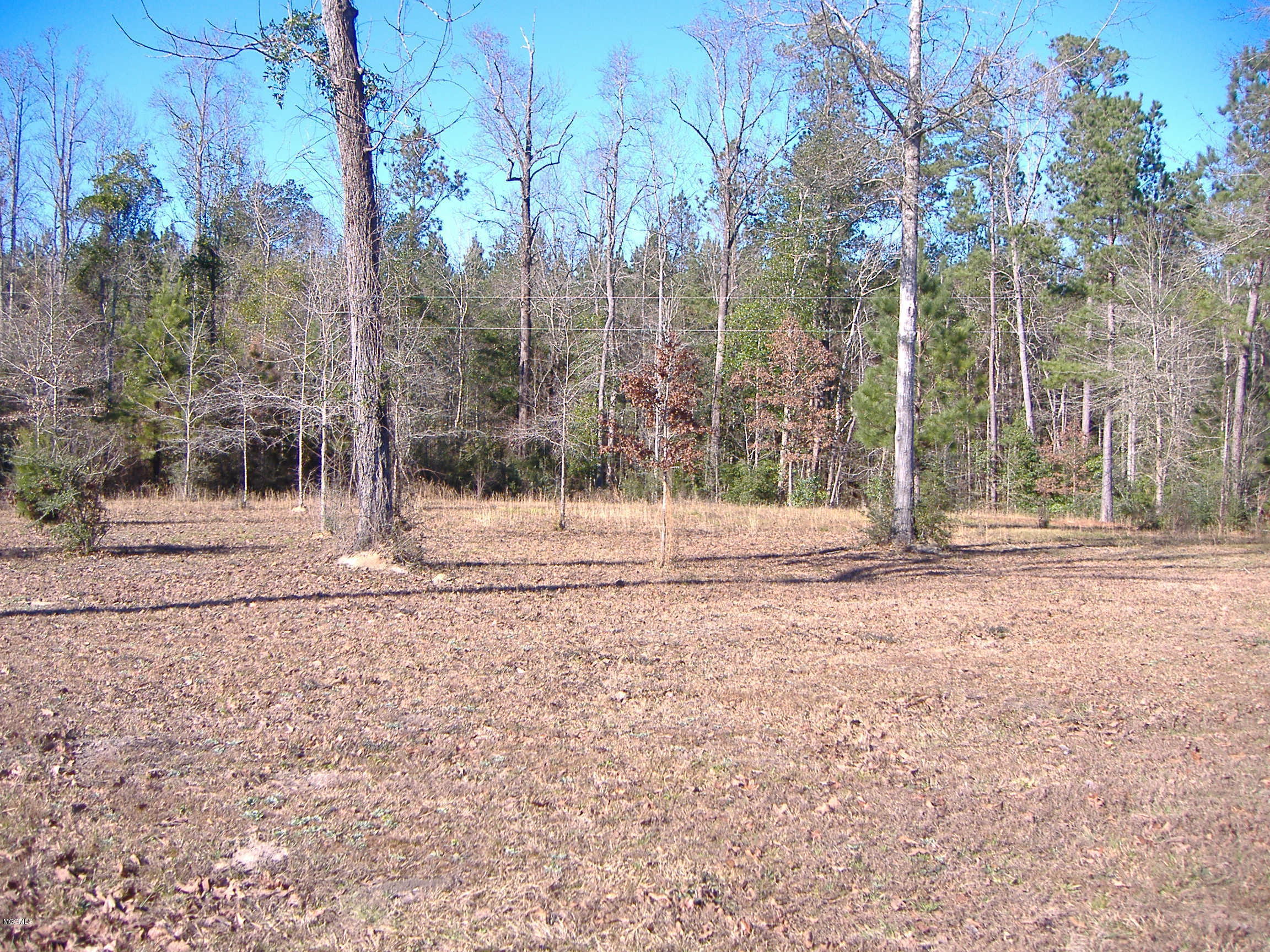1312 Carnes Road Lumberton, MS 39455 - Photo 6 of 50 DSCF5063