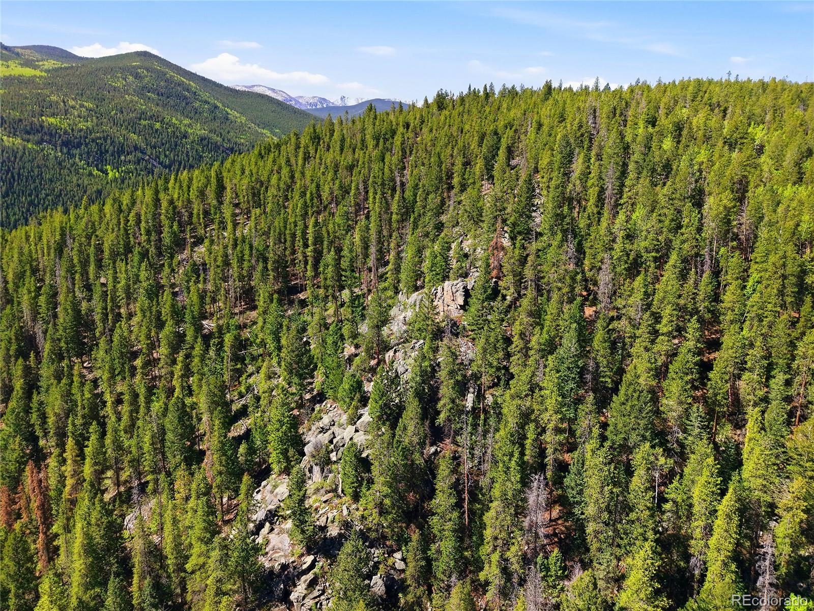 600 Ute Creek Road Idaho Springs, CO 80452 - Photo 13 of 24 a view of a bunch of trees