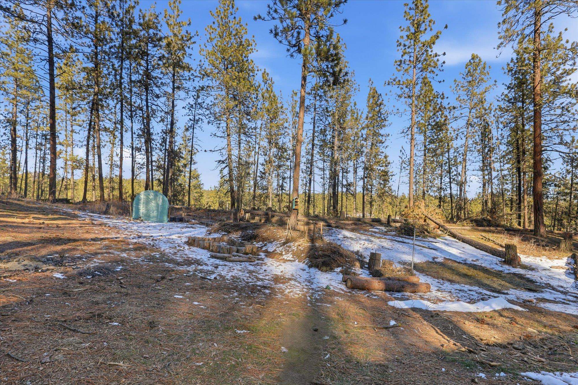 5511 Glen Grove-Staley Road Deer Park, WA 99006 - Photo 15 of 31