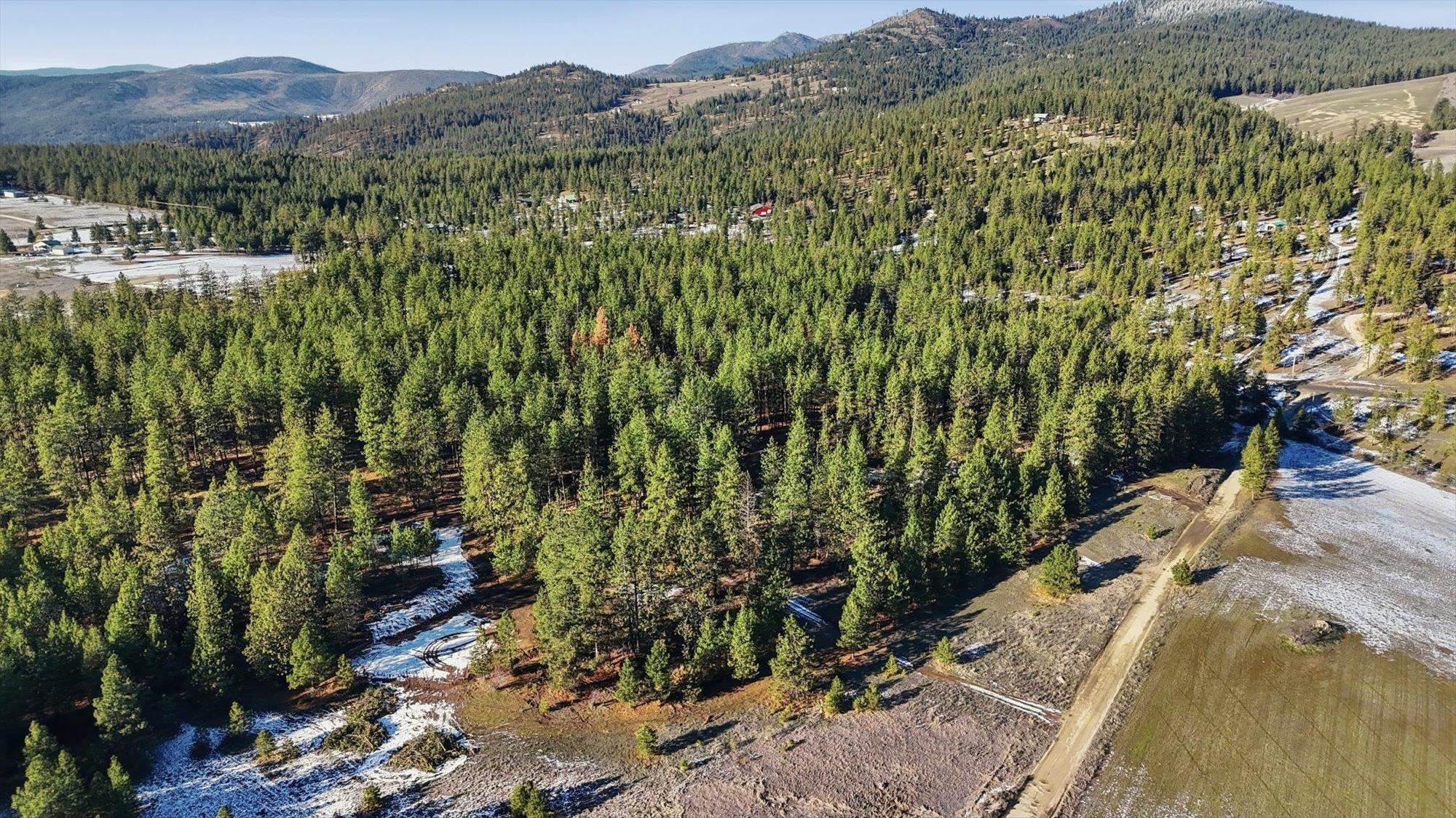 5511 Glen Grove-Staley Road Deer Park, WA 99006 - Photo 25 of 31