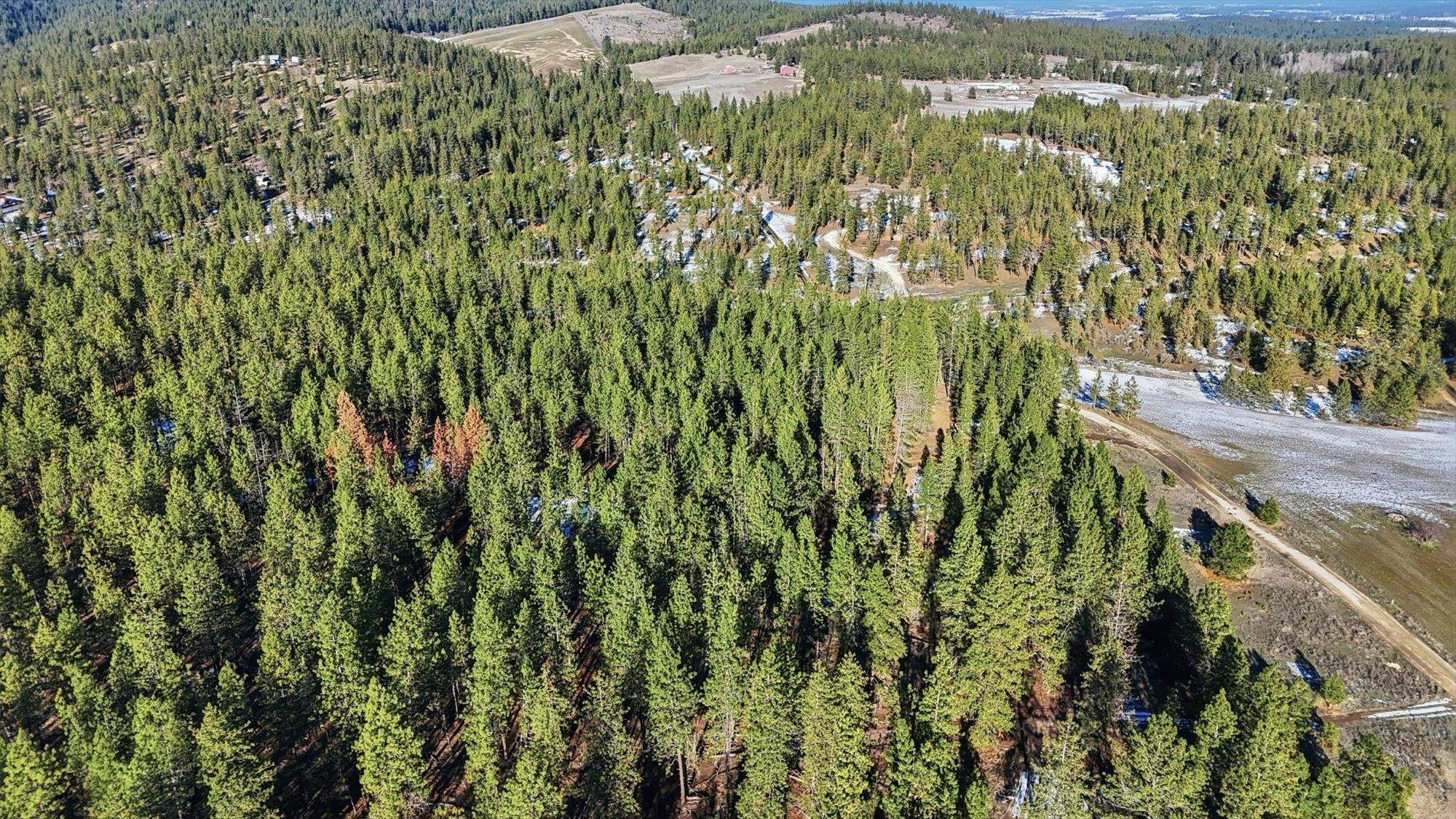 5511 Glen Grove-Staley Road Deer Park, WA 99006 - Photo 26 of 31