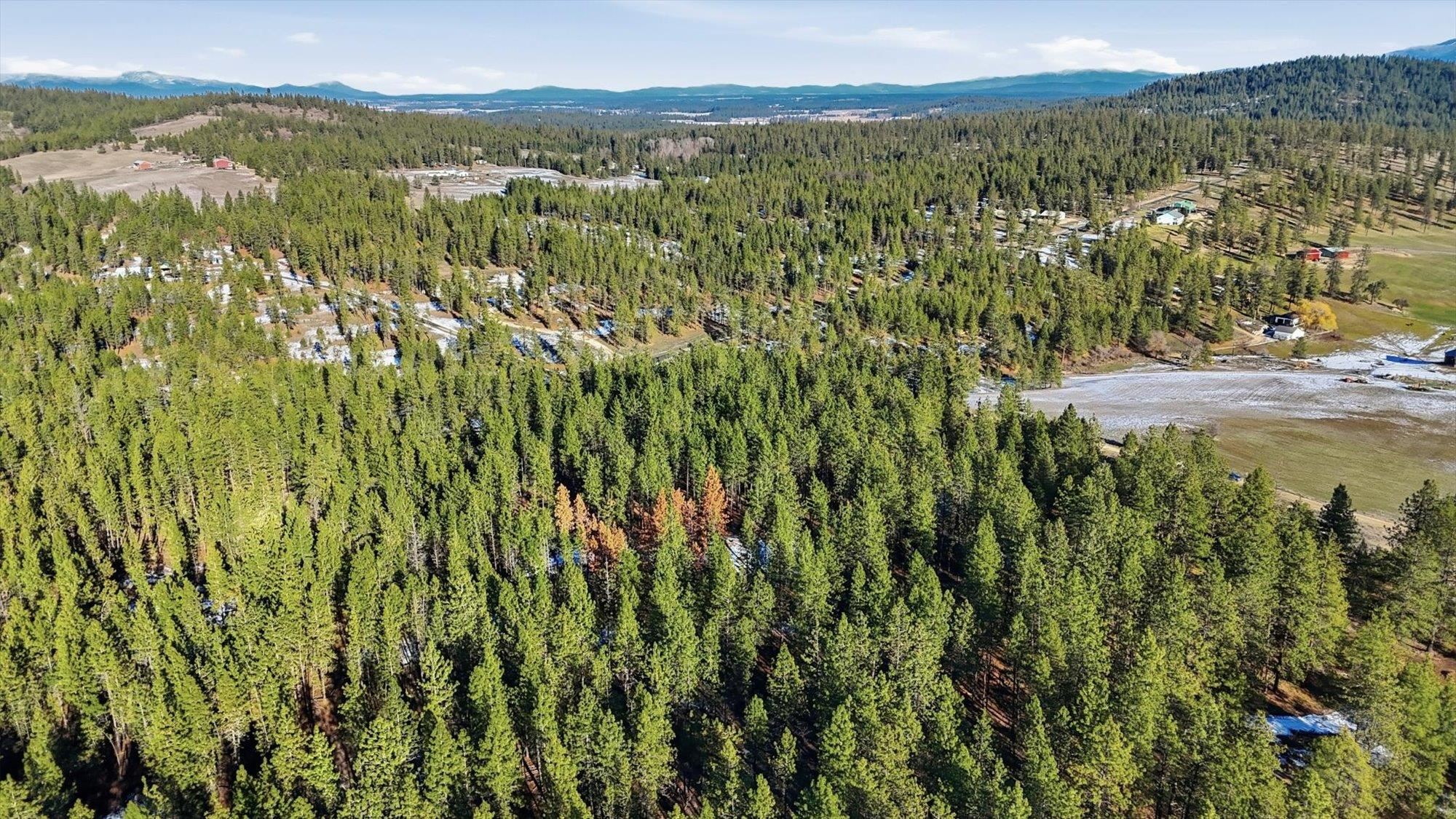 5511 Glen Grove-Staley Road Deer Park, WA 99006 - Photo 27 of 31