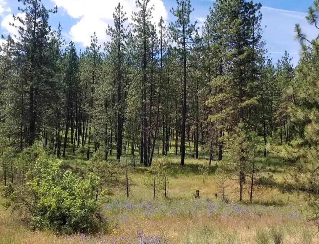 5511 Glen Grove-Staley Road Deer Park, WA 99006 - Photo 31 of 31