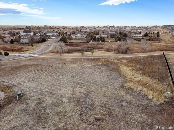 a view of a dry yard with trees