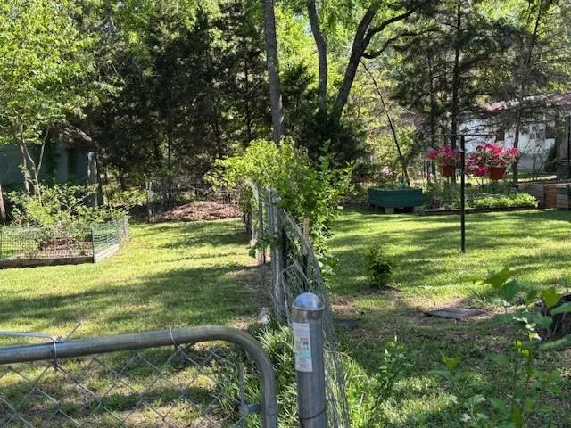 a view of a trees in a yard