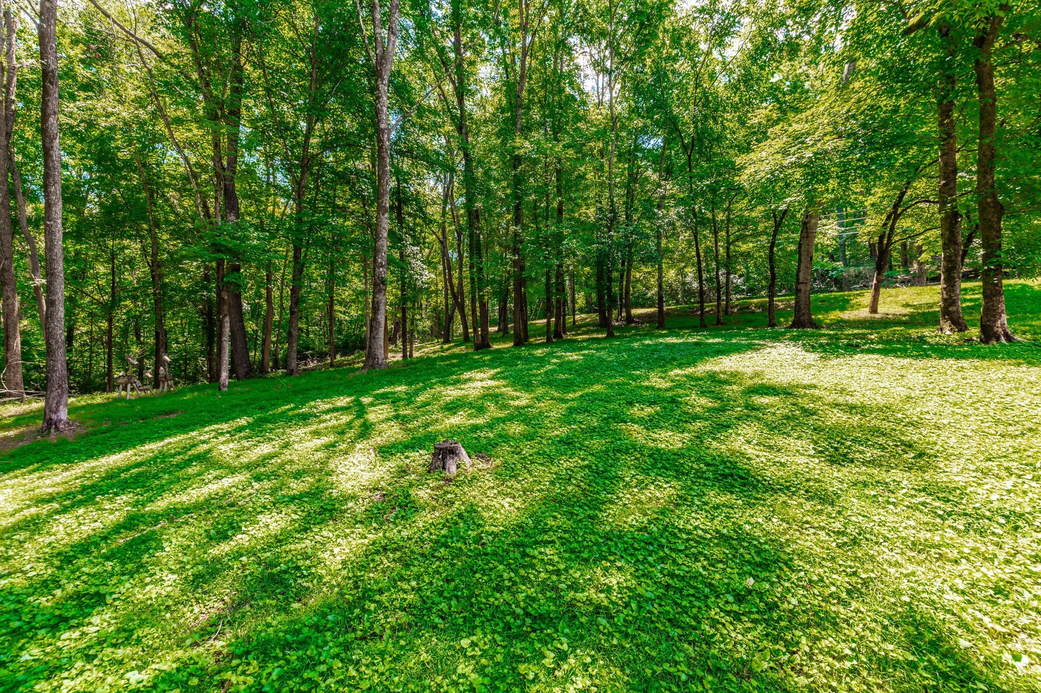 4463 Heath Road Nashville, TN 37221 - Photo 18 of 23 Gallery Image 18
