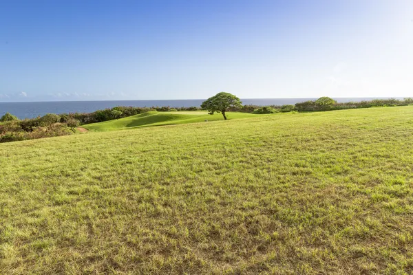 $3,975,000 | Lot A Noho Kai Street, Koloa, HI 96756