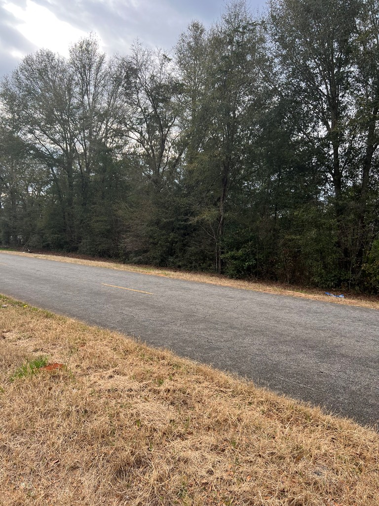 1478 Hill Top Road Newton, AL 36352 - Photo 6 of 27 Gallery Image 6