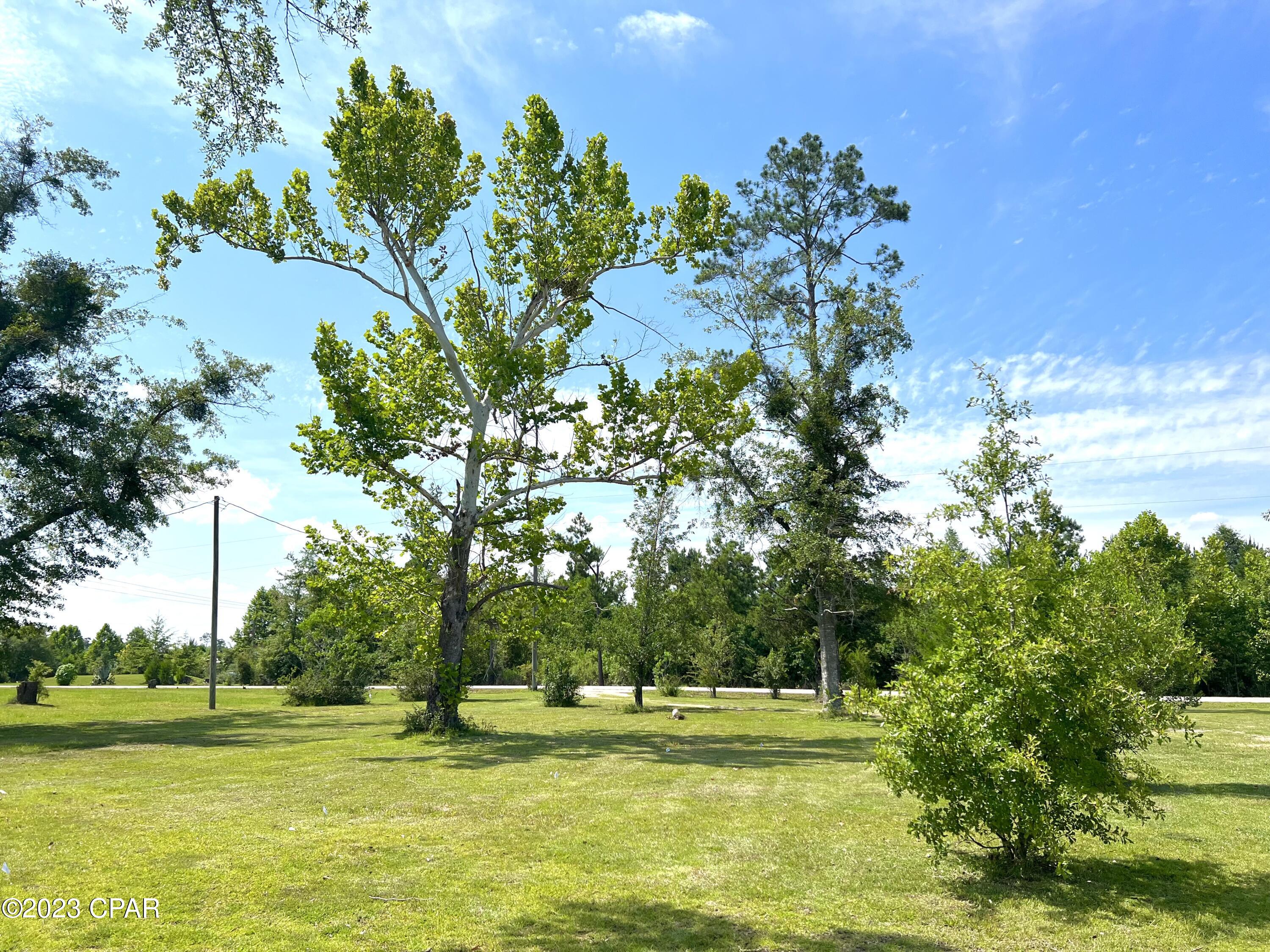 16811 Northeast Luke Holland Road Altha, FL 32421 - Photo 63 of 70 Gallery Image 63