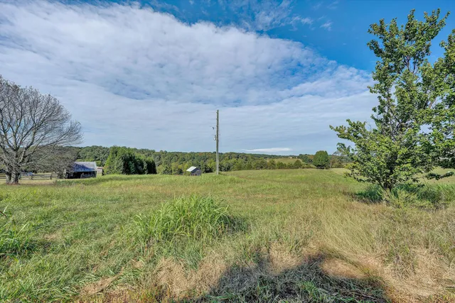 a view of a field with an tree in front of it