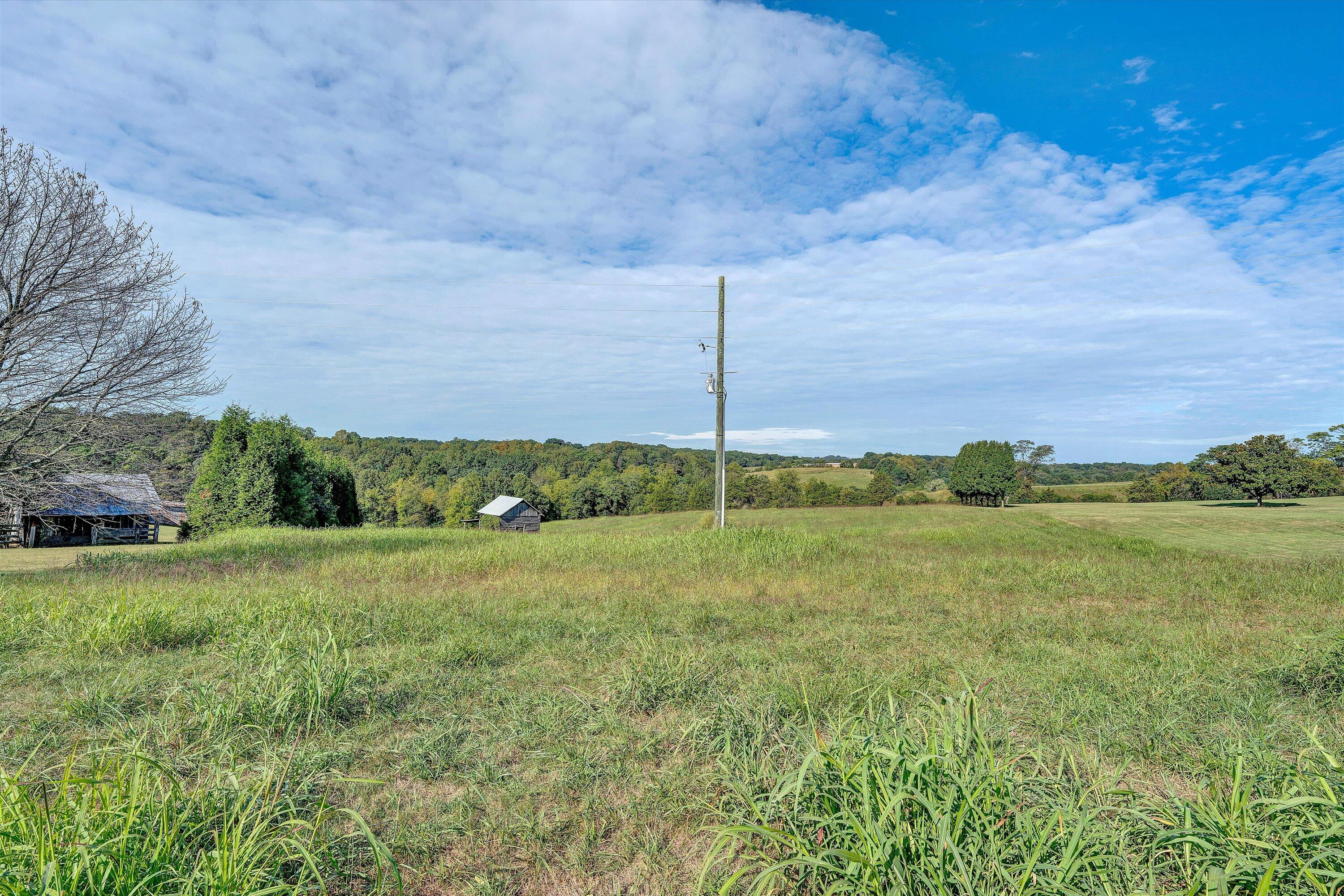 6 Bramlett Road Moneta, VA 24121 - Photo 14 of 16 a view of a field with an tree in front of it
