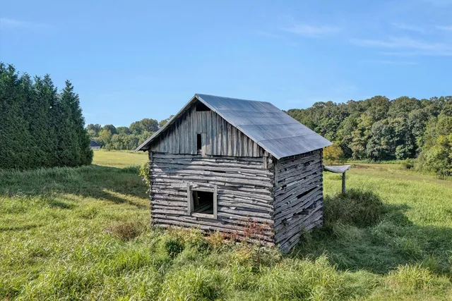 a view of a field with a tree in the background
