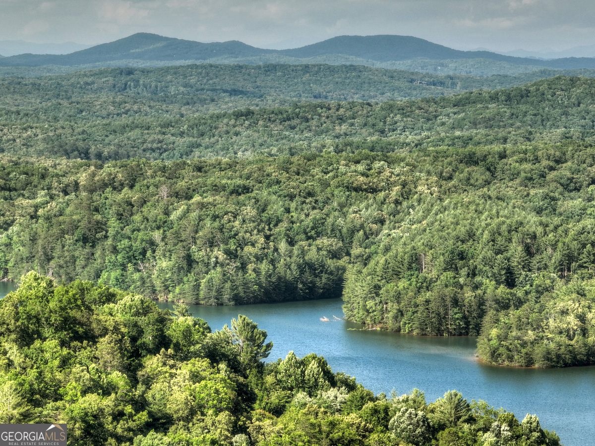 130 Genessee Path Blue Ridge, GA 30513 - Photo 1 of 1 a view of a bunch of trees and bushes