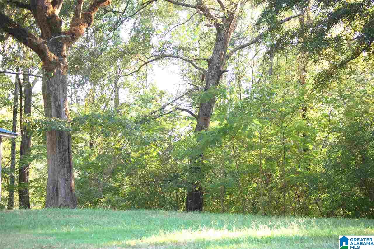 6742 West Jefferson Road Quinton, AL 35130 - Photo 31 of 34