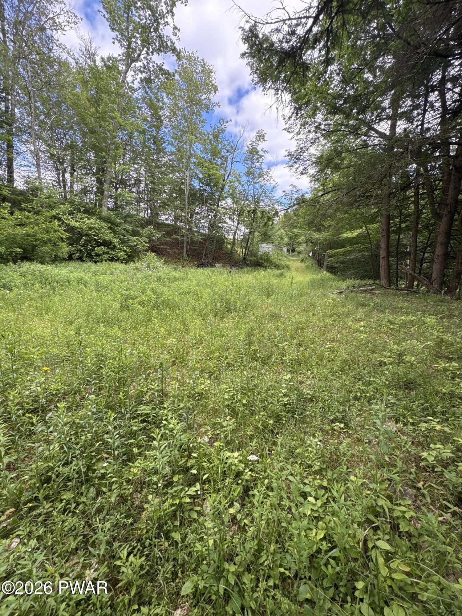 274 Hellmers Hill Road Equinunk, PA 18417 - Photo 22 of 24