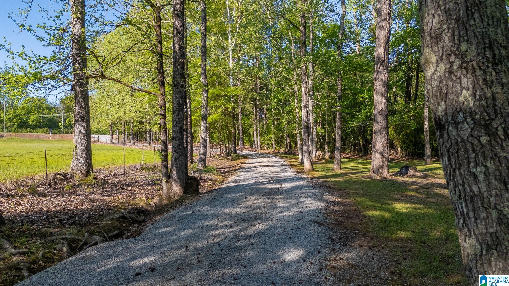 4435 Renfroe Road Talladega, AL 35160 - Photo 93 of 99 Gallery Image 93
