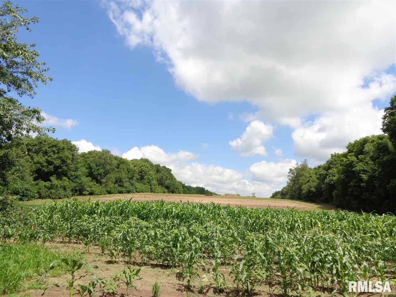 4311 East Rome West Road Chillicothe, IL 61523 - Photo 11 of 36 Gallery Image 11