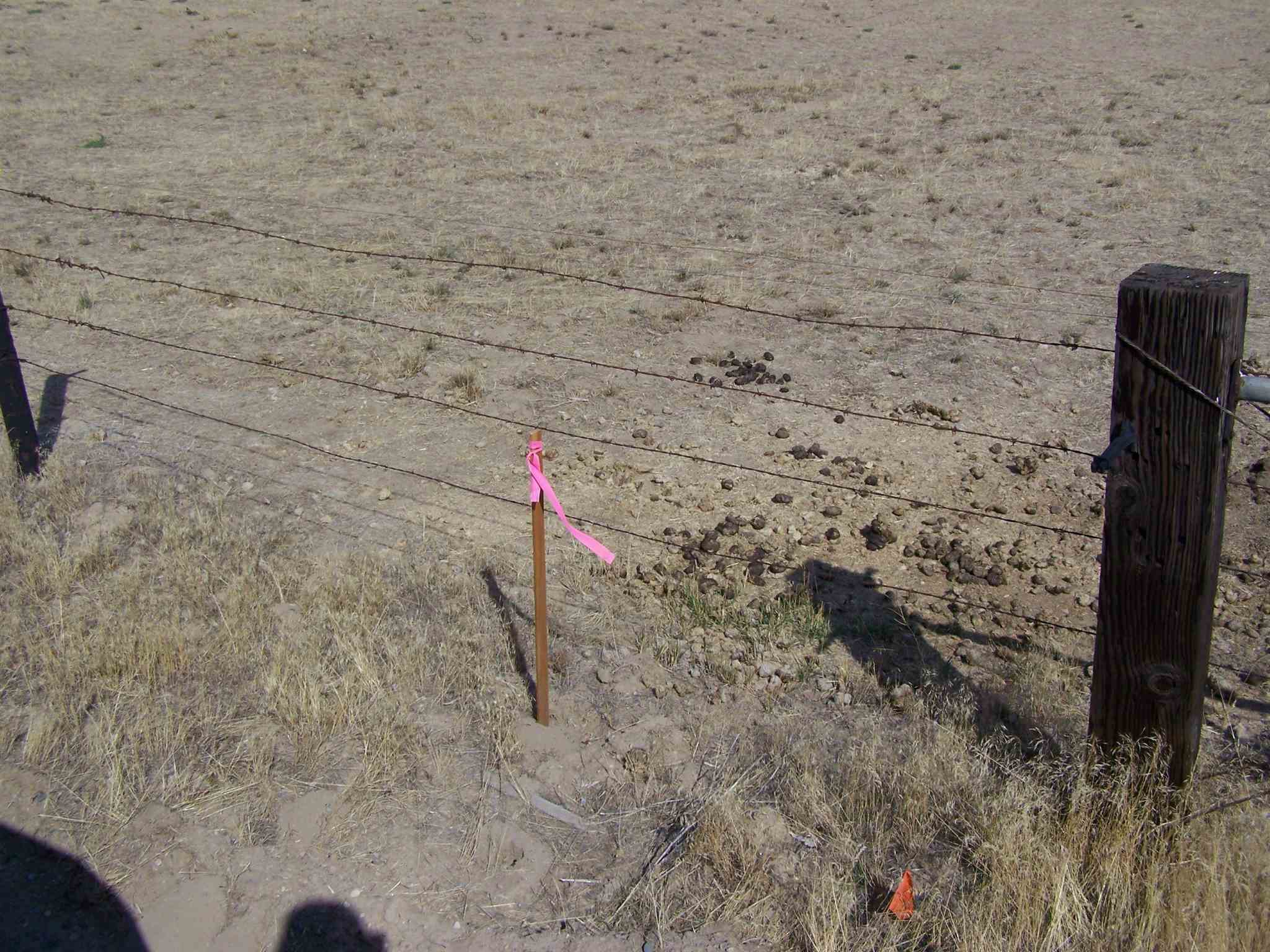 326 West Austin Road Spokane, WA 99208 - Photo 6 of 6