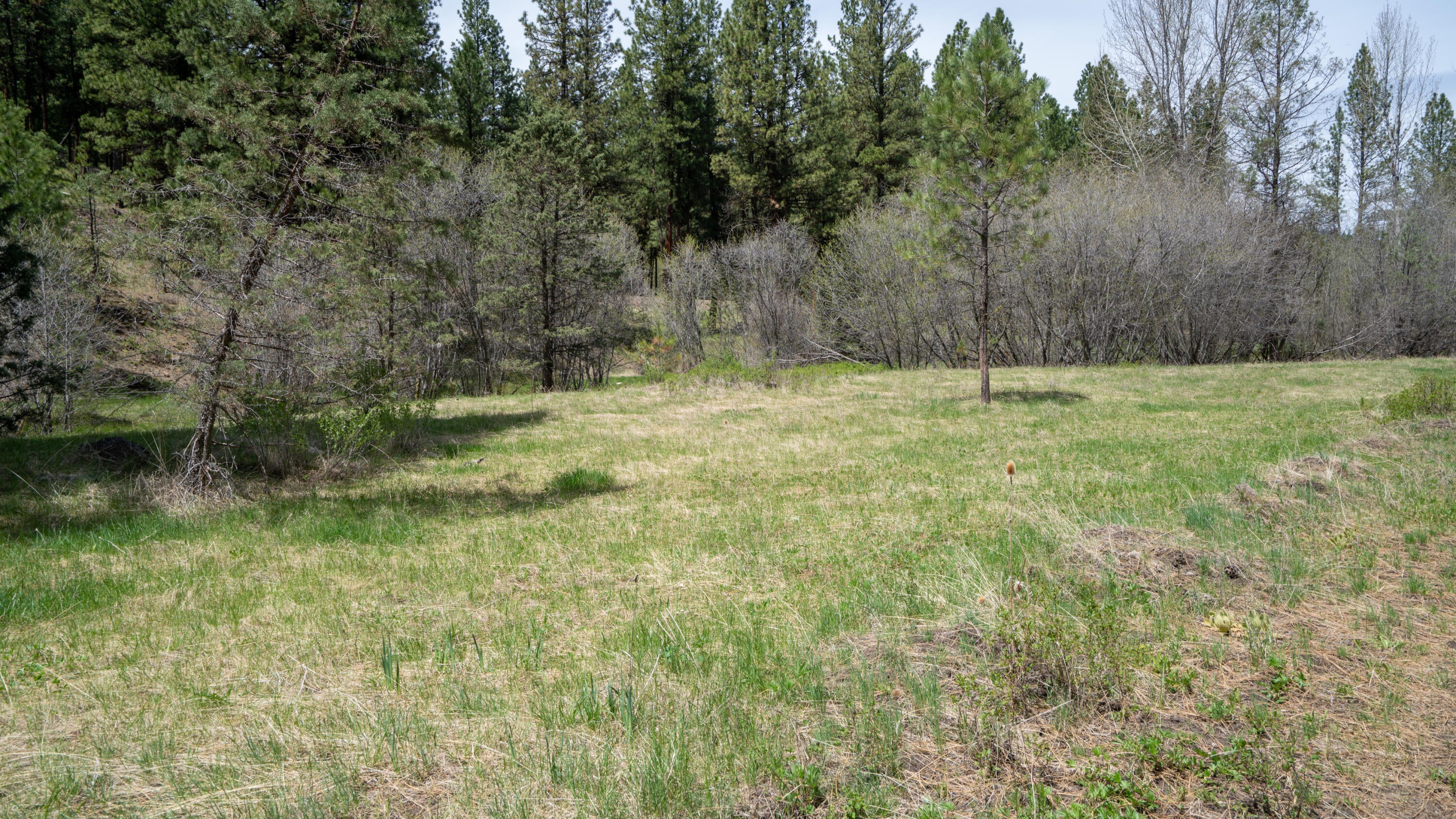 Keeney Fork Rd Prairie Prairie City, OR 97869 - Photo 12 of 61 DSC00827