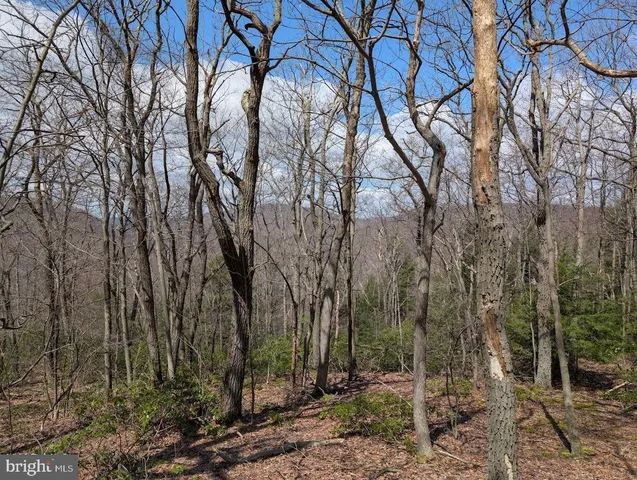 $40,000 | 187-188 Ridge Run Road, Claysburg, PA 16625