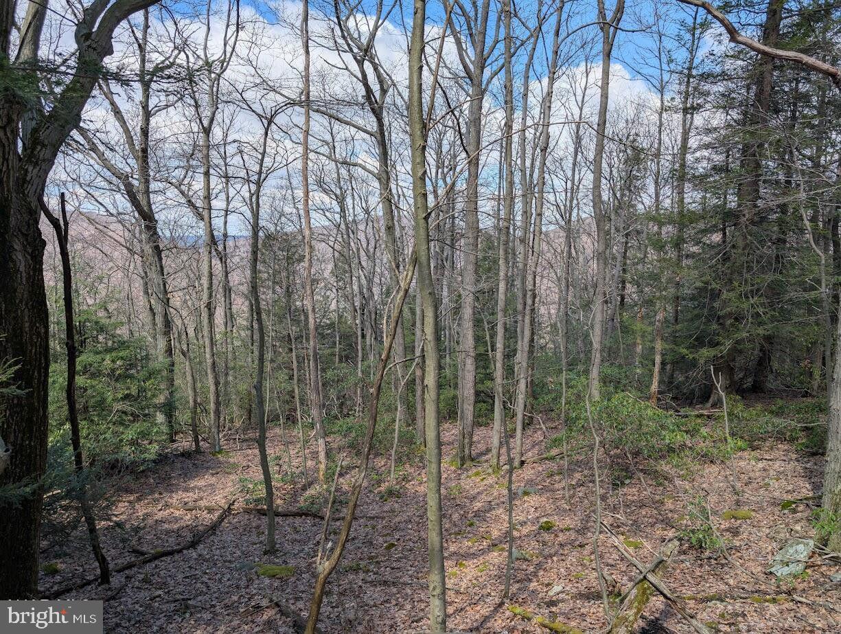 187-188 Ridge Run Road Claysburg, PA 16625 - Photo 10 of 10