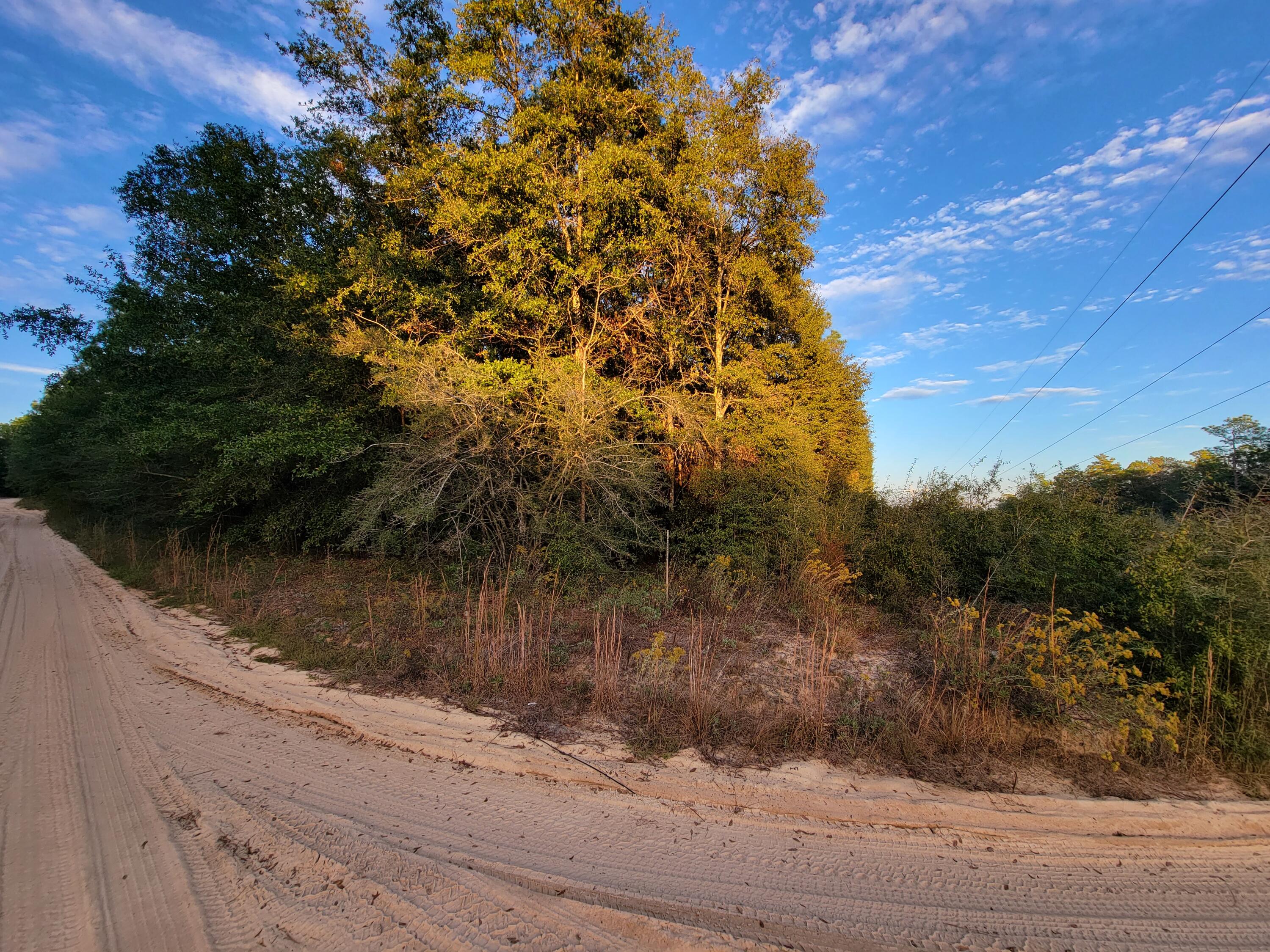 507 C Spotted Fawn Road Holt, FL 32564 - Photo 6 of 13 20231119_162713