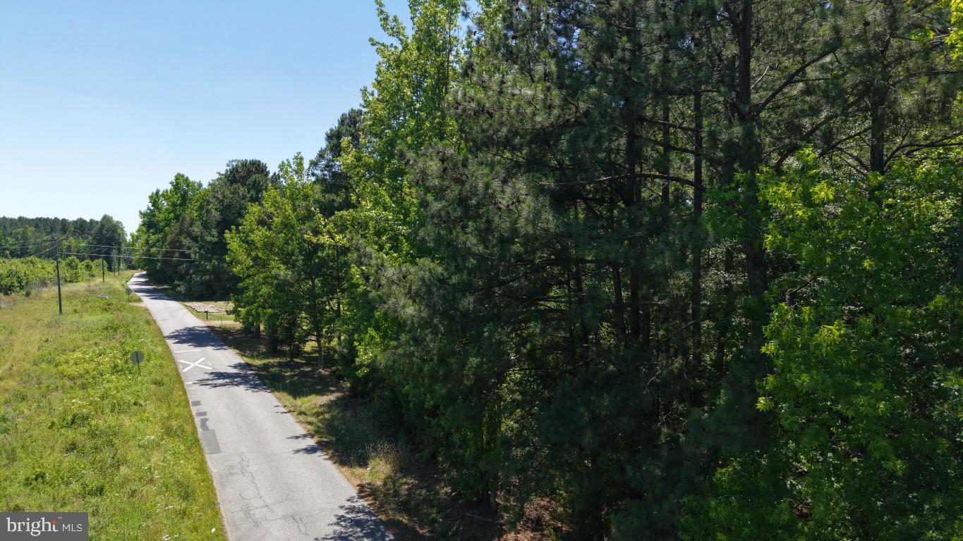 0 Freemans Cross Road Freeman, VA 23856 - Photo 29 of 36