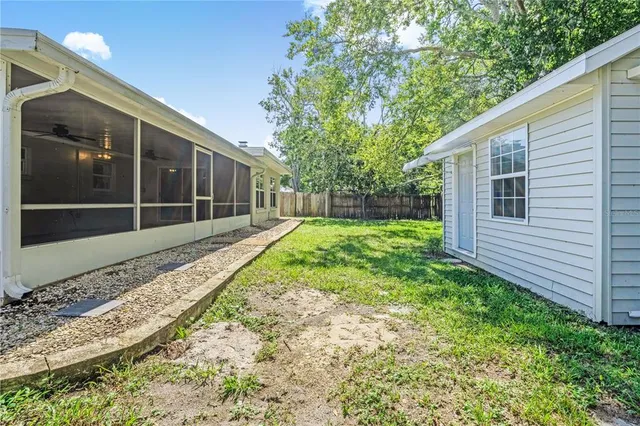 a view of a backyard with a large tree