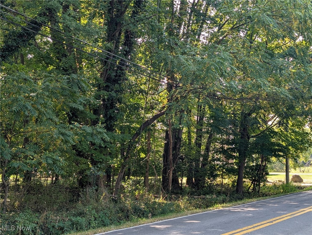 Schocalog Road Akron, OH 44320 - Photo 1 of 2 View of asphalt street with a forest view