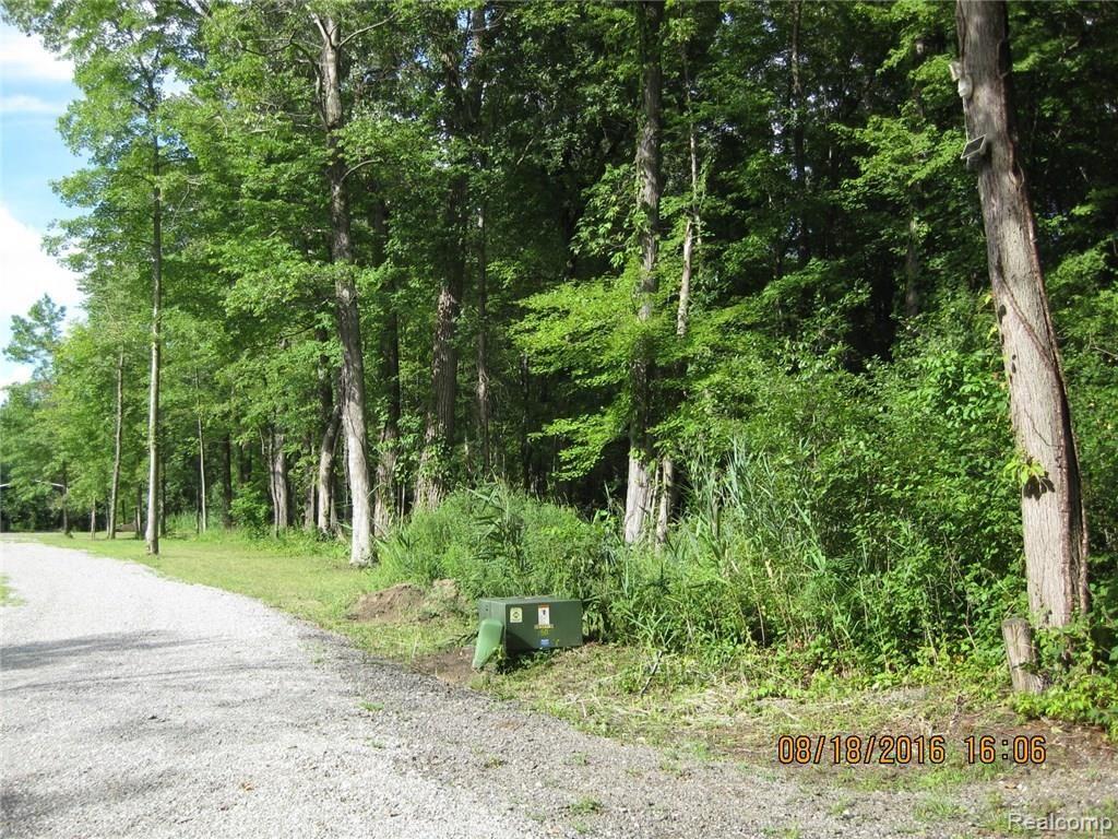 1 Inkster Road Inkster, MI 48141 - Photo 3 of 5