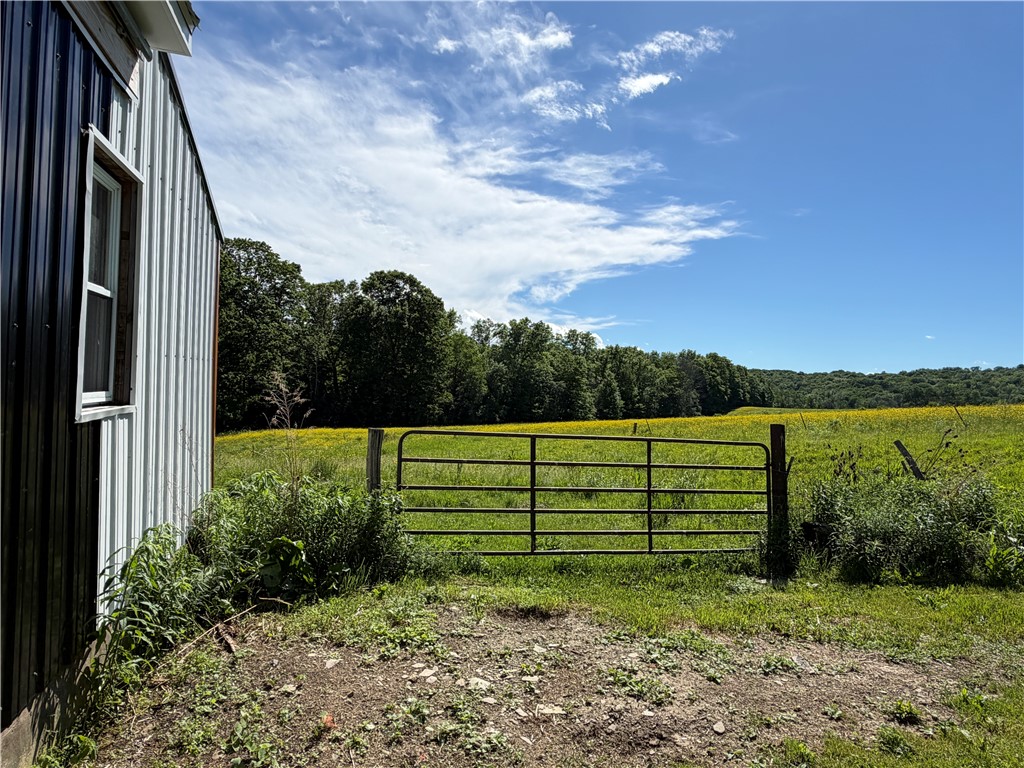 5243 Reed Road Friendship, NY 14739 - Photo 24 of 50