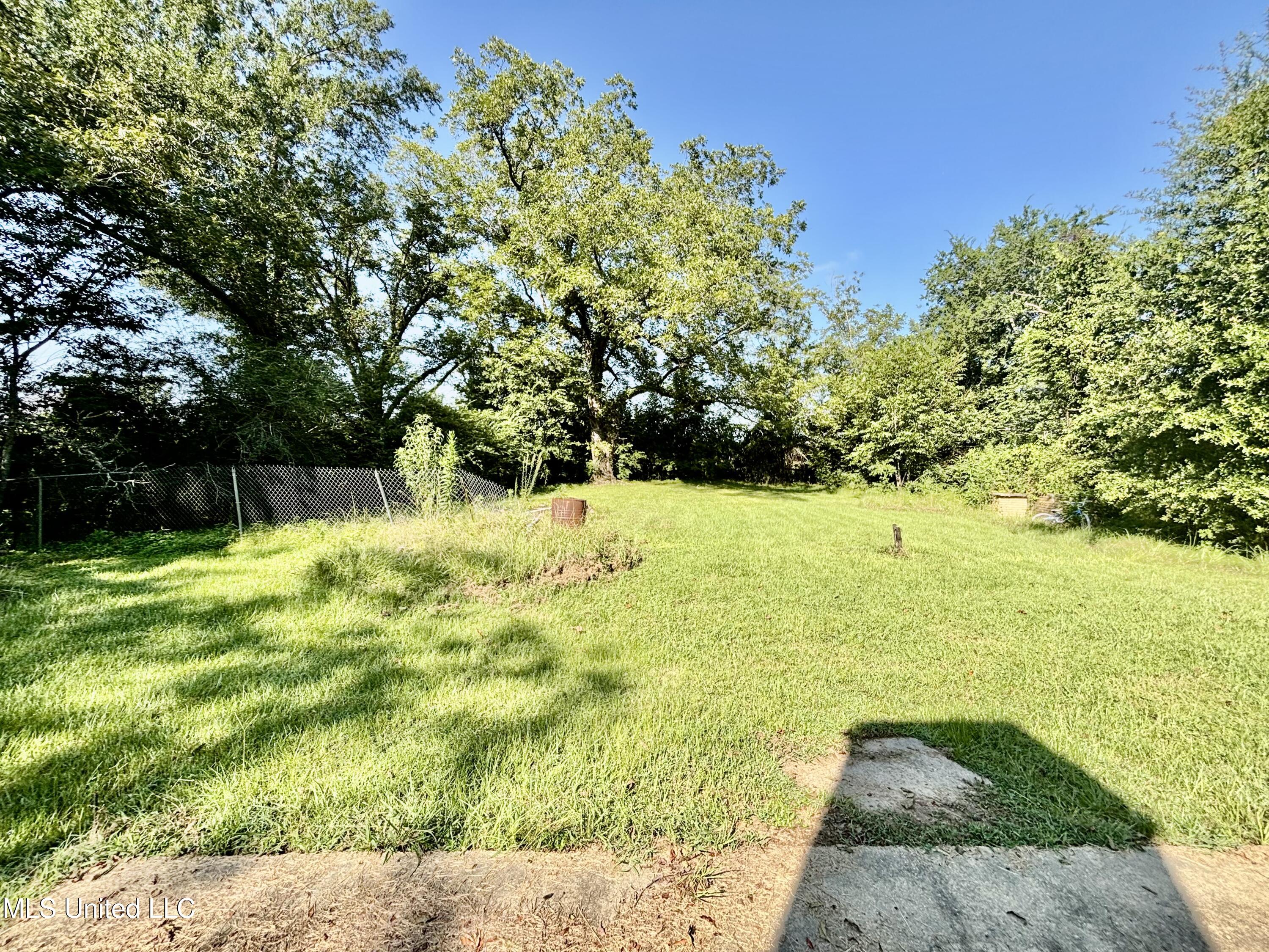 463 Daughdrill Road Silver Creek, MS 39663 - Photo 14 of 19 IMG_7942