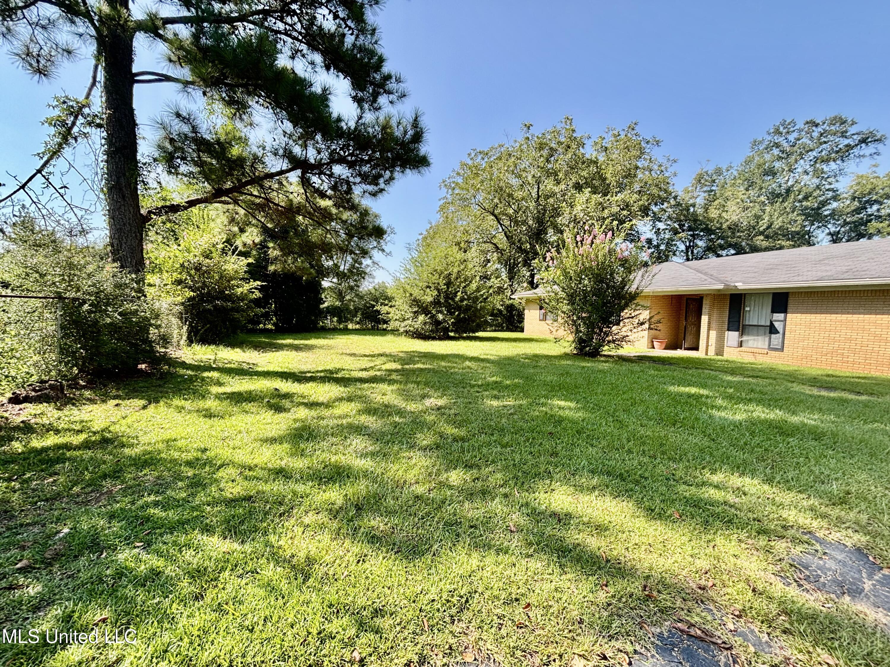 463 Daughdrill Road Silver Creek, MS 39663 - Photo 2 of 19 Front yard