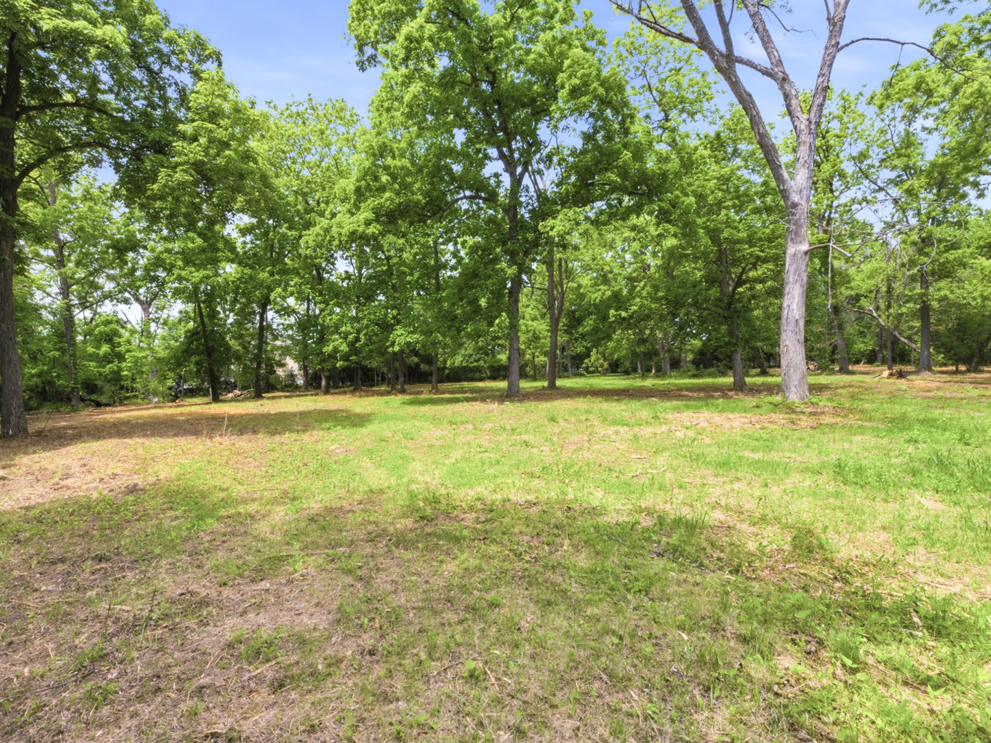 7N650 Sayer Road Bartlett, IL 60103 - Photo 5 of 13 a view of outdoor space with deck and yard