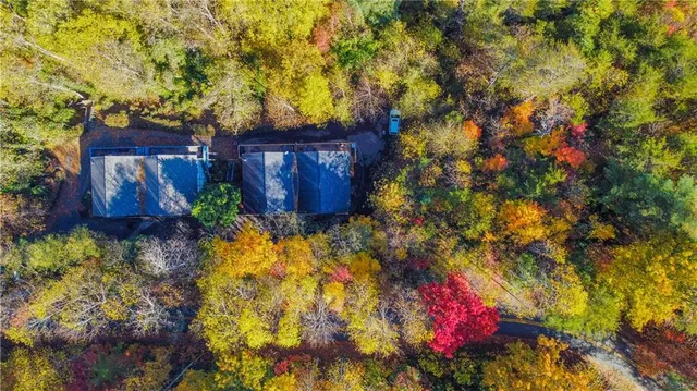 a flower garden in a backyard
