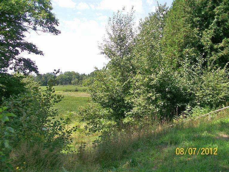 6903 Brooks Road Fruitport, MI 49415 - Photo 20 of 21 Additional Photo