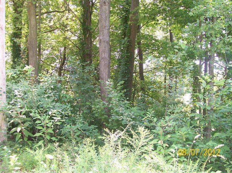 6903 Brooks Road Fruitport, MI 49415 - Photo 21 of 21 Additional Photo
